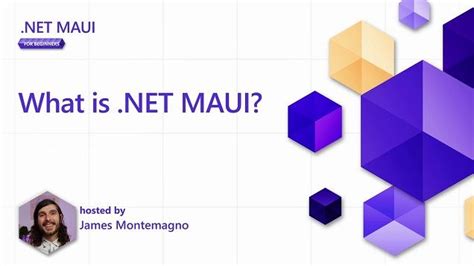 what is maui in .net|.NET MAUI for Beginners .
